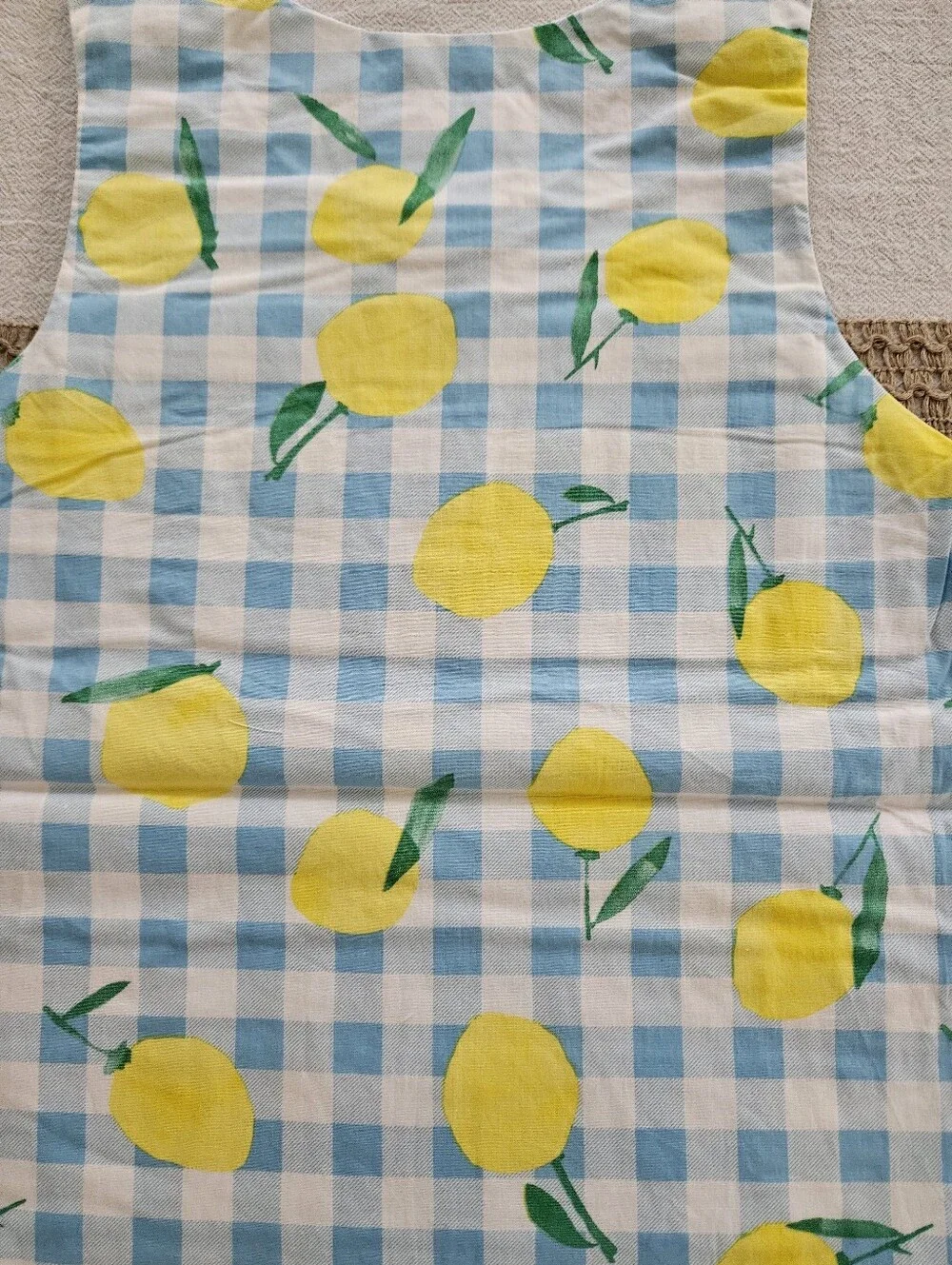 Lil Cactus Blue & White Gingham Lemon Smocked Jon Jon | Size 3T